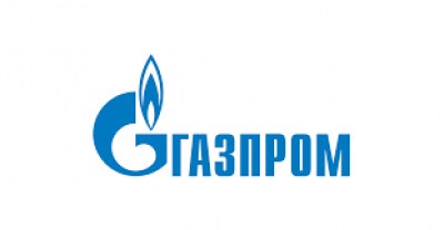 Центр художественной гимнастики в Сочи построили только на бумаге, а 8 млрд рублей исчезли