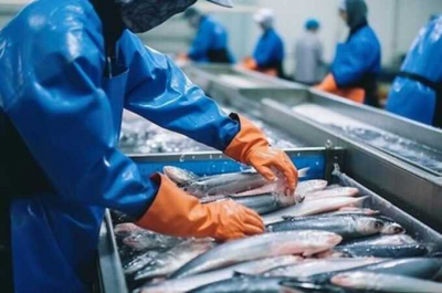 Норвегия ввела ограничения для российских рыболовных компаний из-за подозрений в шпионаже