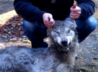 За какое место Вячеслав Вегнер держит Валентину Гофенберг