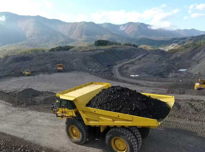 Невельск под Горняком: как Шабельник, Ронжина, Манухин и Смирнов делят карьер и подарки от бизнеса