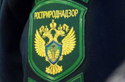 Труп Дмитрия Плытника в реке, 600 миллионов долларов и глава Росприроднадзора Радионова: как гражданская жена Берковича крышевала банду &laquo;Джако&raquo; через брата-следователя Григория Радионова