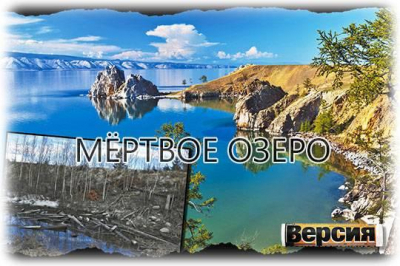 Компания «Илим» может вырубить лес на Байкале