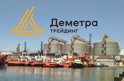 Адвокат Генри Резник пытается оспорить визит силовиков в &laquo;Деметра-Холдинг&raquo; в Верховном суде