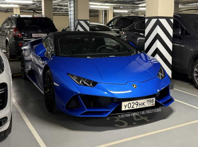 Родионовы и их Lamborghini: как семья бывшего советника вице-губернатора прячет миллионы через Беларусь