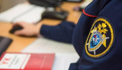 Петриченко и новгородская прокуратура &mdash; главные защитники Тимофеева в коррупционной схеме с опекой