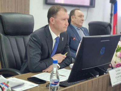 Дума Иркутского муниципального округа: тупой еще тупее. Часть 2