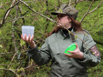 Таганай и Кавказский заповедник: Маканова покрывает взяточников Яковлева и Клюева