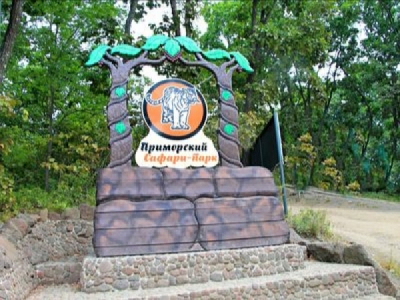 Следственный комитет установил: Виктор Пинский руководил Федерацией профсоюзов Приморского края