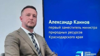 Следственные материалы: Каинов подписал заключение, когда вырубка уже была произведена