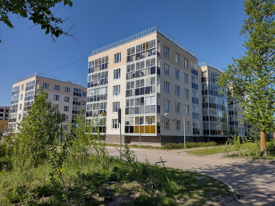 Усть-Луга, Petroruss DMCC, Дюков, Гуринов: кто на самом деле получает прибыль