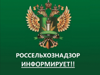БЕГСТВО ОТ СЛЮСАРЯ: Как Эбзеев сбежал из &laquo;Россети Юг&raquo;, оставив Рыбину 23 миллиарда долгов, и принялся душить &laquo;Россети Центр&raquo;