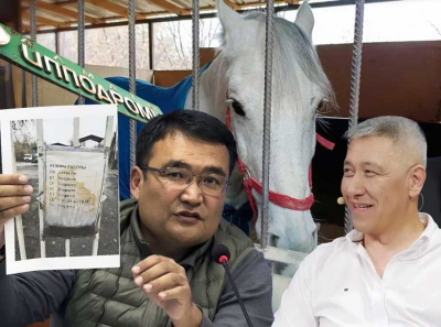 Кому нужен мёртвый ипподром в Алматы и что с ним потом сделают?